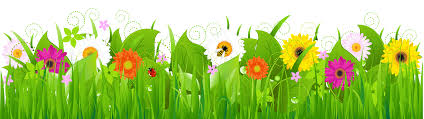 Image result for clip art flowers