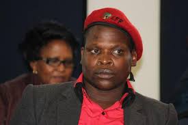 Fighter Wele has a rich history in youth politics. During his school days he led in the Student Representative Council and later joined the ANC YL. - EFF-EC-Premier-candidate-Themba-Wele