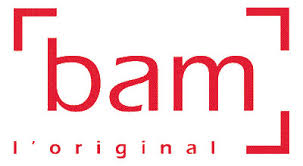 Bildresultat för BAM Case logo