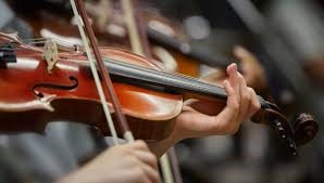 Pernambouc: L'appel Secret de Macron Sauve les Archets Européens!