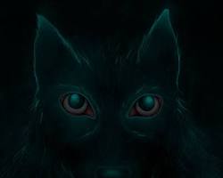 Image of Black Shuck