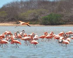 santuario-de-fauna-y-flora-la-guajira-colombia