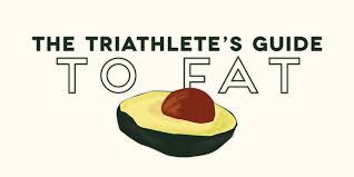 Résultat de recherche d'images pour "fat triathlete"