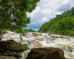Image of Vazhachal Falls, Kerala