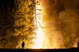 Rowe Creek Complex reaches 39% containment; jaw-dropping photos show towering flames