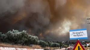 Αποτέλεσμα εικόνας για πυροπληκτοι λακωνιας