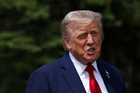 ¡Trump EXPLOTA! ¿Le quitará la ciudadanía a Rosie O'Donnell? ¡IMPERDIBLE!