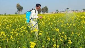 अगर नहीं किया ये तीन काम तो भूल जाइए पैसे! जानिए कब आएंगे पीएम किसान सम्मान निधि योजना के 2000 रुपए