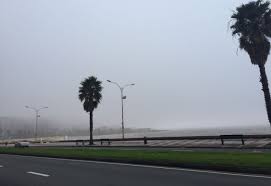 Pronóstico en Montevideo: Lunes con Neblinas y Leve Probabilidad de Lluvia