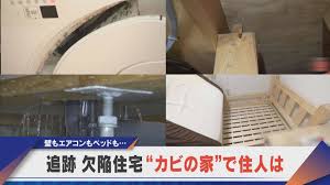 CBCテレビ - News update