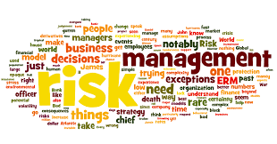 Risk Management Quotes | Riskviews via Relatably.com