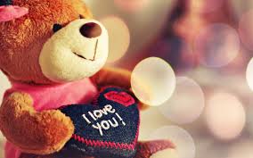 Image result for teddy bear