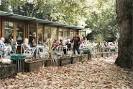 Russell Square Gardens Cafe In The Gardens - London