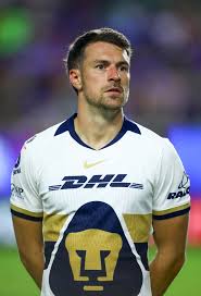 Drama en Pumas: Dolor de Ramsey por su Perro Perdido y Gesto Inoportuno - Imagen principal del artículo