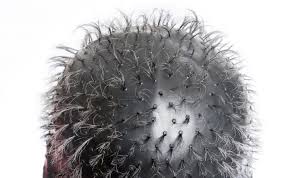 Resultado de imagem para touca luzes