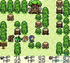 [GBC game]Dragon warrior monster