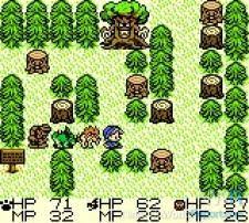 [GBC game]Dragon warrior monster