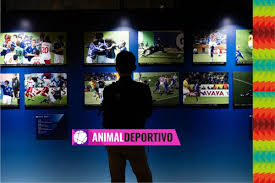 Partidos 24 De Junio 2026