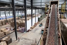 Cocoa Price Dey Go Up: Ebi Sweet But Ebi Hard For We Inside Ghana?