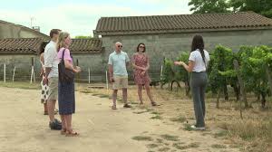 France 3 Régions - News update