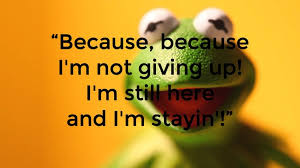 12 Kermit the Frog Quotes for Your Bad Days via Relatably.com