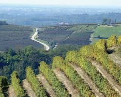 Immagine di Strada del Vino Monferrato