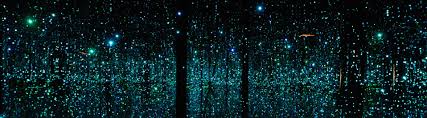 Image result for fireflies