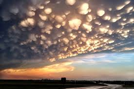 Image result for Mammatus cloud