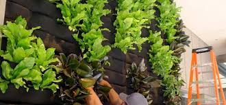 Resultado de imagen para jardines verticales