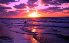 Image result for sunset