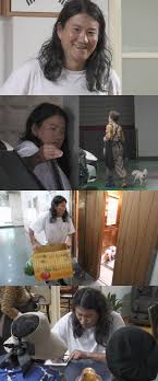 뉴시스 - News update