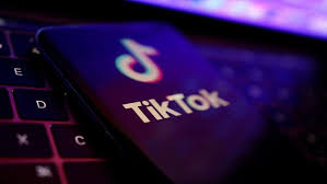 В ГКНБ рассказали, когда разблокируют TikTok в Кыргызстане – Новости из Кыргызстана