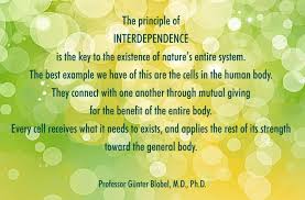What Is the Best Example of the Principle of Interdependence ... via Relatably.com