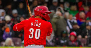 redsminorleagues.com - News update