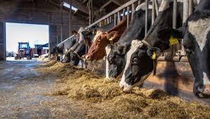 Boerenbusiness - News update