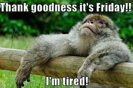 Image result for thank goodness it's friday