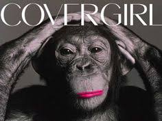 Image result for culture jamming