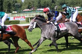 Résultat de recherche d'images pour "image de l'hypodrome des chevaux de la course"