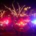Christmas lights stolen from trees along Honolulu Avenue in Montrose