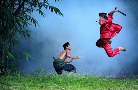 Image result for pertarungan silat