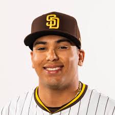 Padres Promote Bradgley Rodriguez to Bolster Bullpen