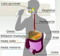liseriketa bilaketarekin bat datozen irudiak