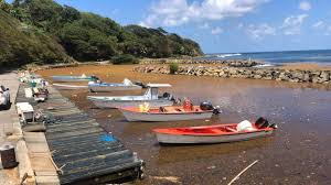 Le marin - News update