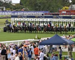 Harness racing driver fined $1000 for winning bet on his own horse