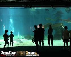 Hình ảnh về Acquario di Genova