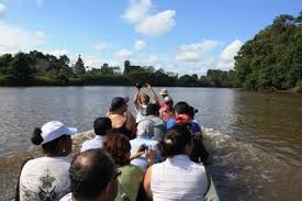 Resultado de imagen para region brunca area turistica