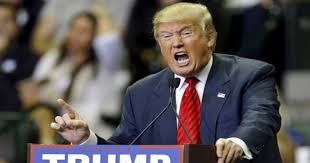 Image result for trump president elect