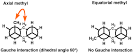 Gauche methyl group