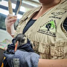 News source: Sud Ouest