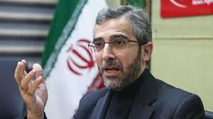عضو شورای راهبردی روابط خارجی: جمهوری اسلامی به راحتی از موضوع زنگزور نمی‌گذرد